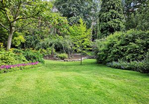 Optimiser l'expérience du jardin à Bard-le-Regulier